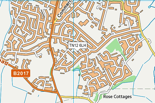 TN12 6LH map - OS VectorMap District (Ordnance Survey)