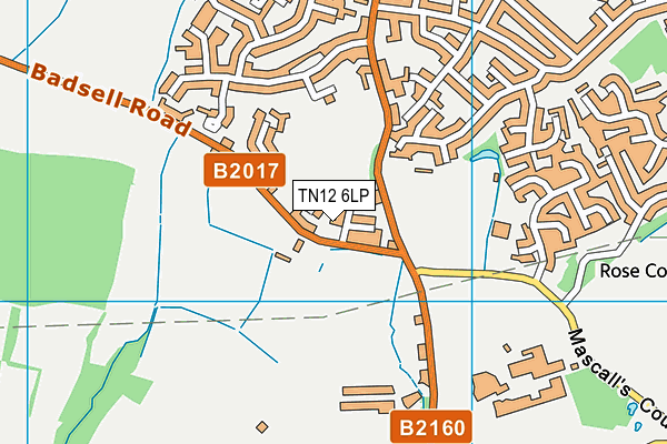 TN12 6LP map - OS VectorMap District (Ordnance Survey)