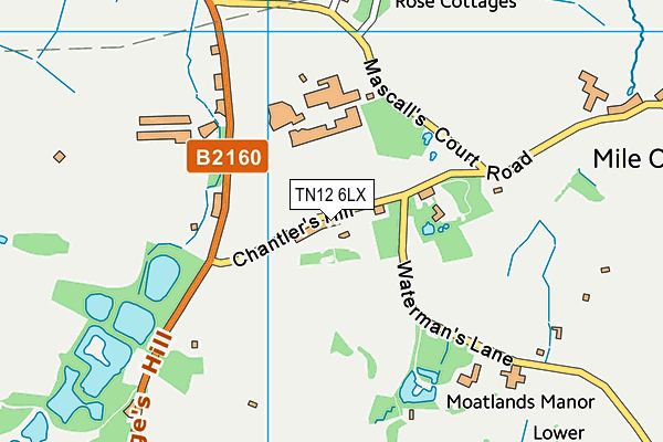 TN12 6LX map - OS VectorMap District (Ordnance Survey)