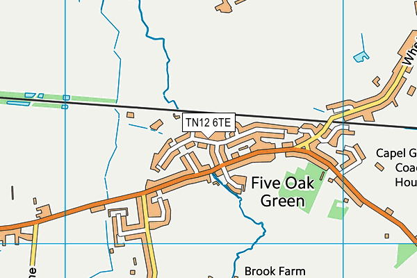 TN12 6TE map - OS VectorMap District (Ordnance Survey)