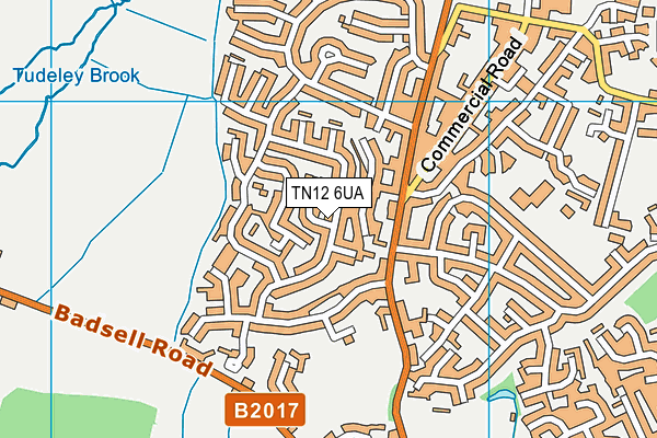 TN12 6UA map - OS VectorMap District (Ordnance Survey)