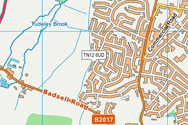 TN12 6UD map - OS VectorMap District (Ordnance Survey)