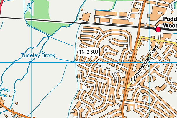 TN12 6UJ map - OS VectorMap District (Ordnance Survey)
