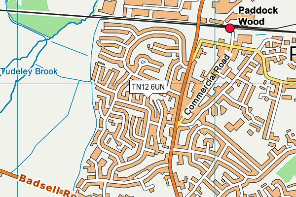 TN12 6UN map - OS VectorMap District (Ordnance Survey)