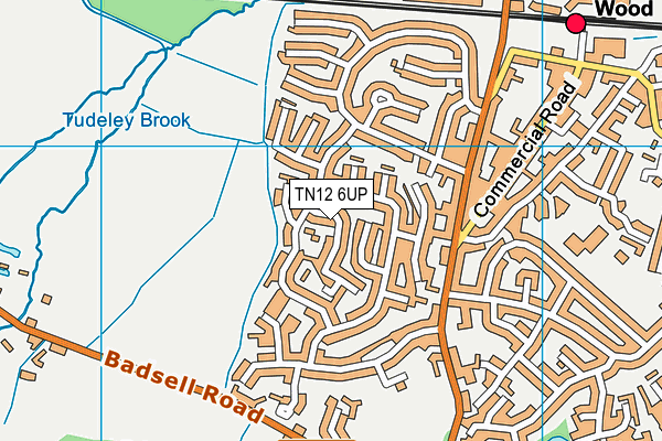 TN12 6UP map - OS VectorMap District (Ordnance Survey)