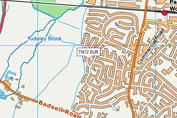 TN12 6UR map - OS VectorMap District (Ordnance Survey)