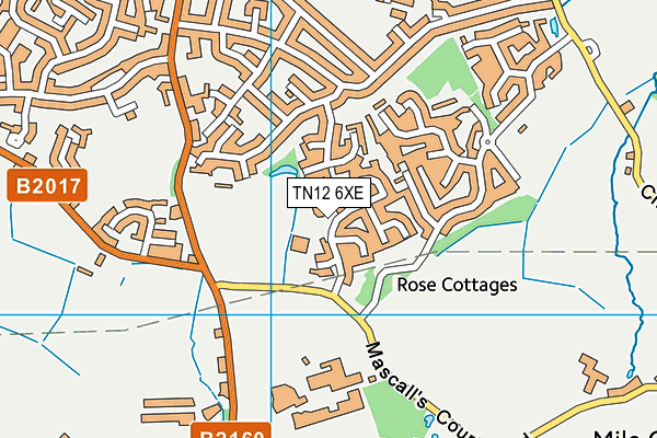 TN12 6XE map - OS VectorMap District (Ordnance Survey)