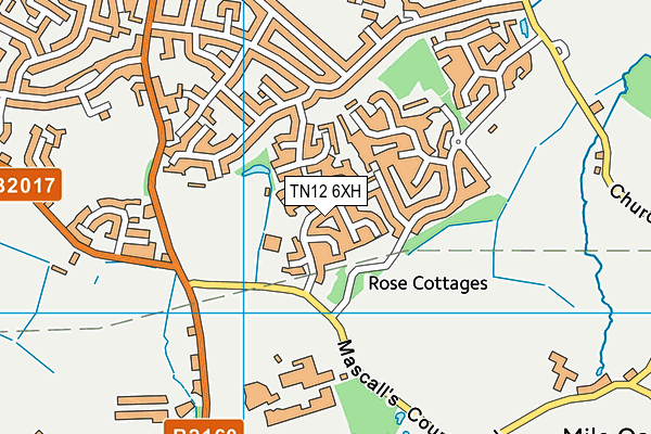 TN12 6XH map - OS VectorMap District (Ordnance Survey)