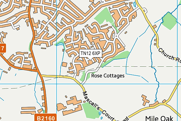 TN12 6XP map - OS VectorMap District (Ordnance Survey)