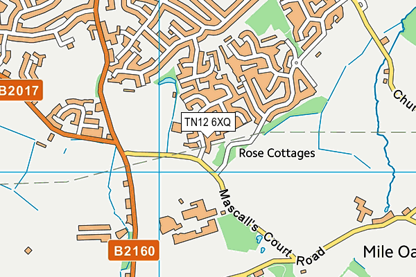 TN12 6XQ map - OS VectorMap District (Ordnance Survey)