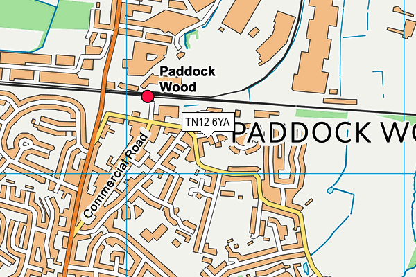 TN12 6YA map - OS VectorMap District (Ordnance Survey)