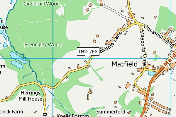 TN12 7ES map - OS VectorMap District (Ordnance Survey)