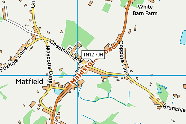 TN12 7JH map - OS VectorMap District (Ordnance Survey)