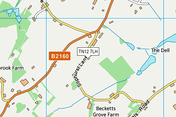 TN12 7LH map - OS VectorMap District (Ordnance Survey)