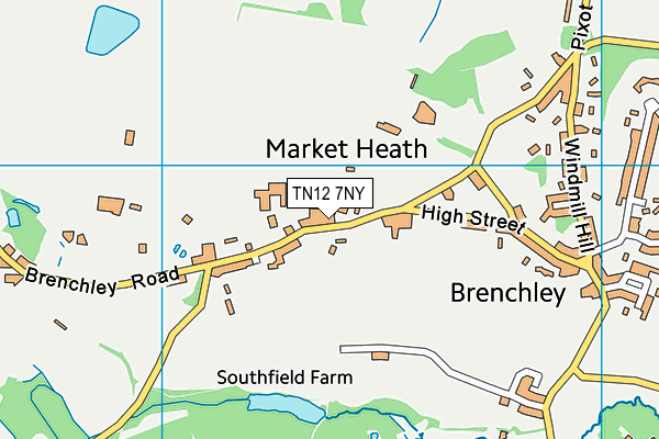 Brenchley and Matfield Church of England Primary School map (TN12 7NY) - OS VectorMap District (Ordnance Survey)