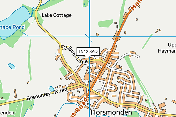 TN12 8AQ map - OS VectorMap District (Ordnance Survey)