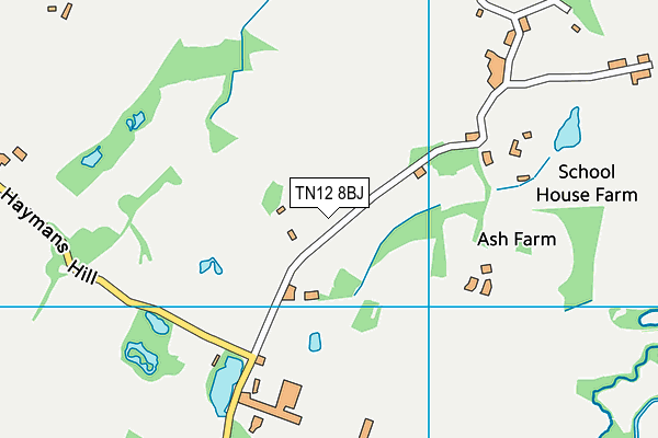 TN12 8BJ map - OS VectorMap District (Ordnance Survey)