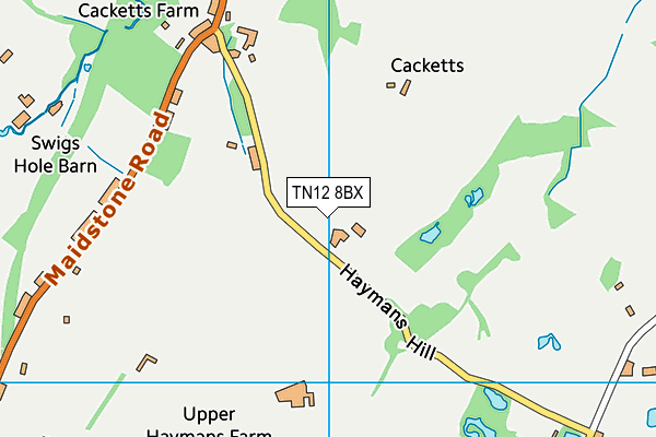 TN12 8BX map - OS VectorMap District (Ordnance Survey)