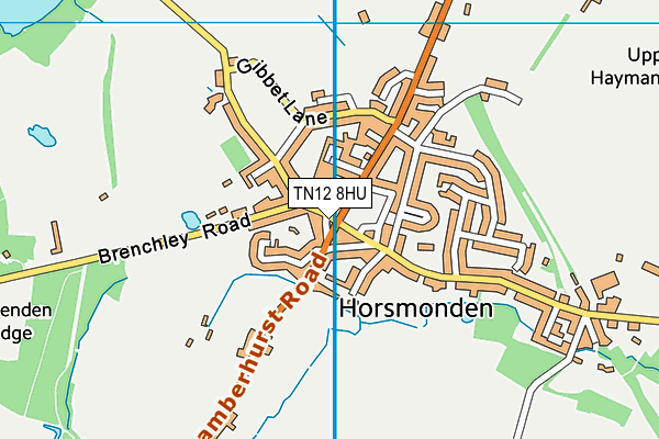 TN12 8HU map - OS VectorMap District (Ordnance Survey)