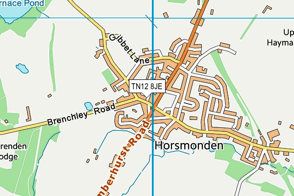 TN12 8JE map - OS VectorMap District (Ordnance Survey)