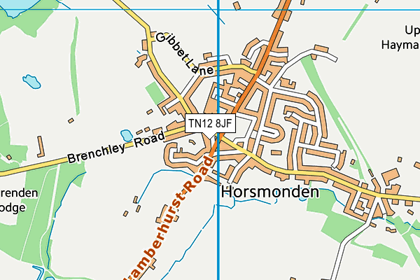 TN12 8JF map - OS VectorMap District (Ordnance Survey)