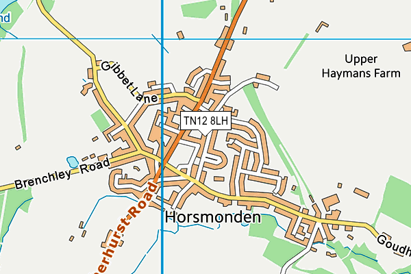 TN12 8LH map - OS VectorMap District (Ordnance Survey)