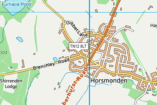 TN12 8LT map - OS VectorMap District (Ordnance Survey)