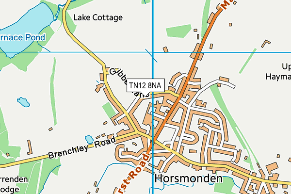 TN12 8NA map - OS VectorMap District (Ordnance Survey)