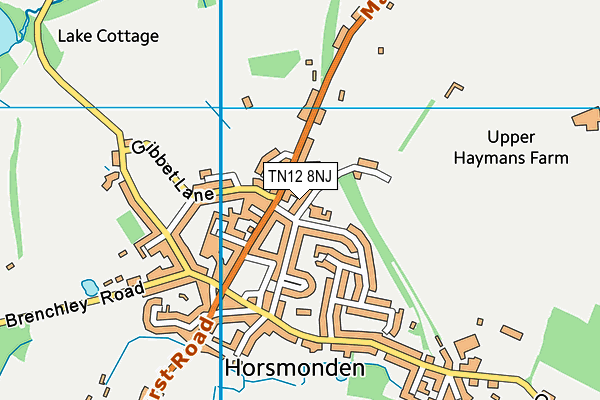 Horsmonden Primary Academy map (TN12 8NJ) - OS VectorMap District (Ordnance Survey)