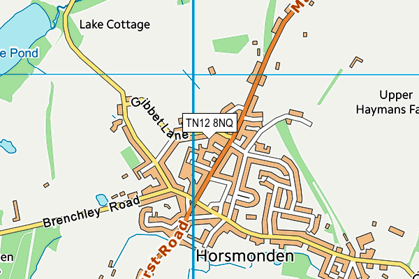 TN12 8NQ map - OS VectorMap District (Ordnance Survey)