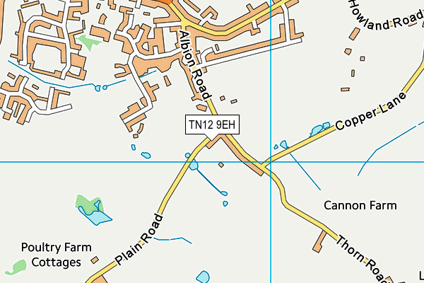 TN12 9EH map - OS VectorMap District (Ordnance Survey)