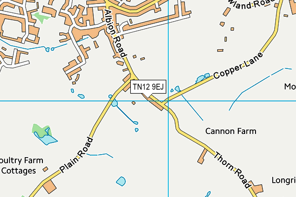 TN12 9EJ map - OS VectorMap District (Ordnance Survey)