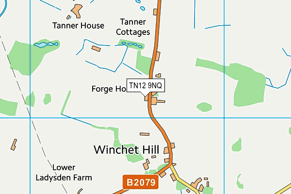 TN12 9NQ map - OS VectorMap District (Ordnance Survey)