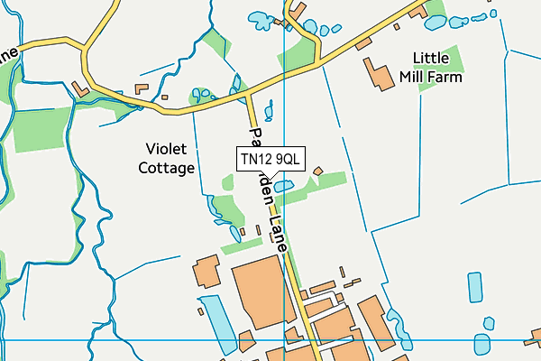 TN12 9QL map - OS VectorMap District (Ordnance Survey)