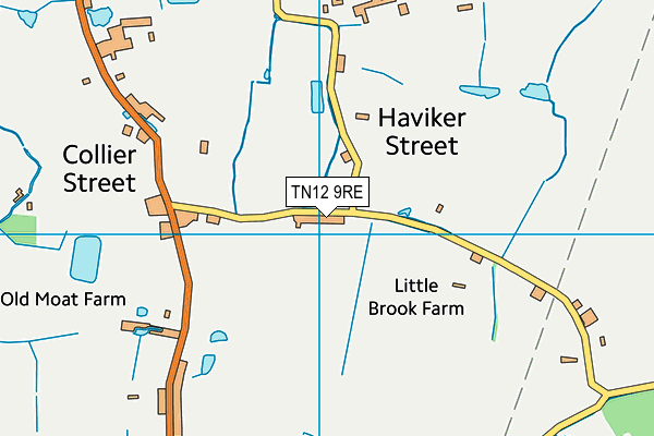 TN12 9RE map - OS VectorMap District (Ordnance Survey)