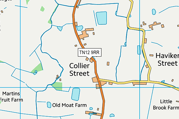 Church Playing Fields map (TN12 9RR) - OS VectorMap District (Ordnance Survey)