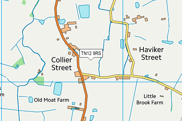 TN12 9RS map - OS VectorMap District (Ordnance Survey)