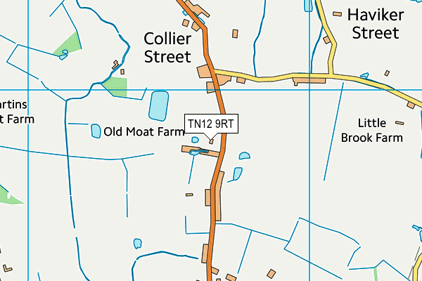 TN12 9RT map - OS VectorMap District (Ordnance Survey)