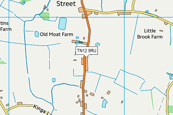 TN12 9RU map - OS VectorMap District (Ordnance Survey)