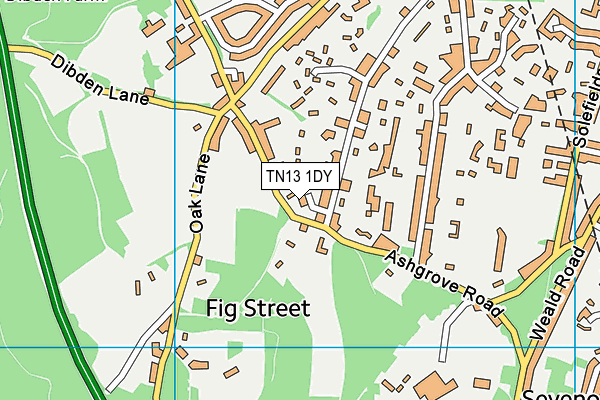 TN13 1DY map - OS VectorMap District (Ordnance Survey)