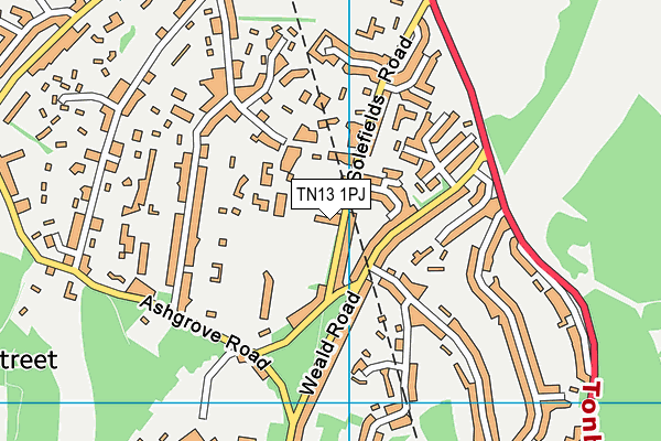 TN13 1PJ map - OS VectorMap District (Ordnance Survey)