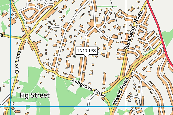 TN13 1PS map - OS VectorMap District (Ordnance Survey)