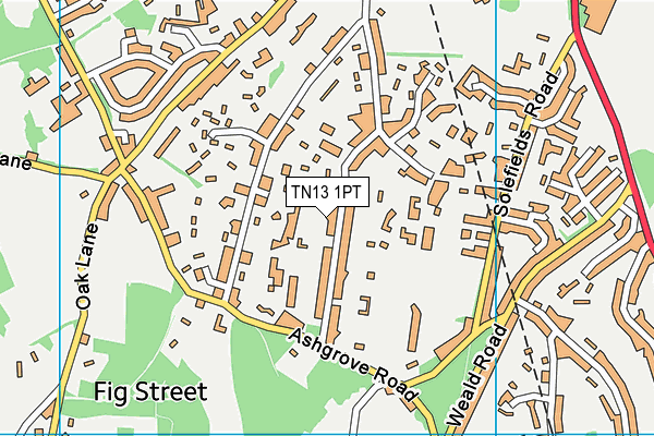 TN13 1PT map - OS VectorMap District (Ordnance Survey)
