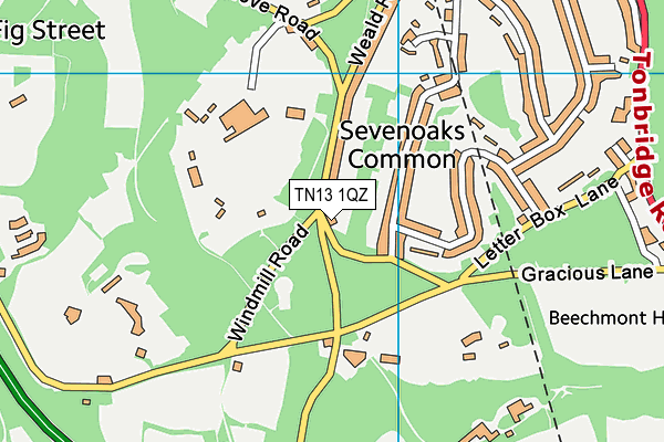 TN13 1QZ map - OS VectorMap District (Ordnance Survey)