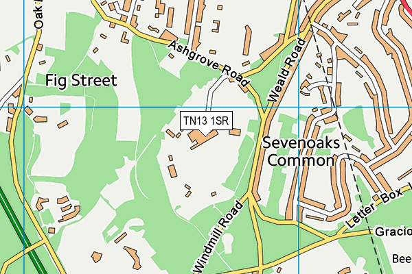 West Heath School map (TN13 1SR) - OS VectorMap District (Ordnance Survey)