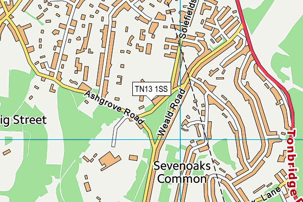 TN13 1SS map - OS VectorMap District (Ordnance Survey)