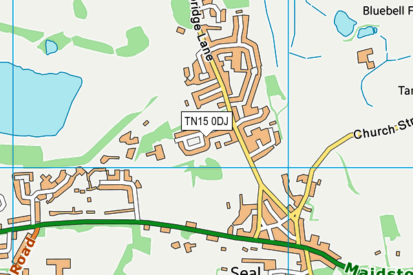 TN15 0DJ map - OS VectorMap District (Ordnance Survey)