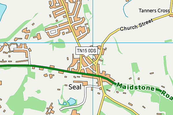 TN15 0DS map - OS VectorMap District (Ordnance Survey)