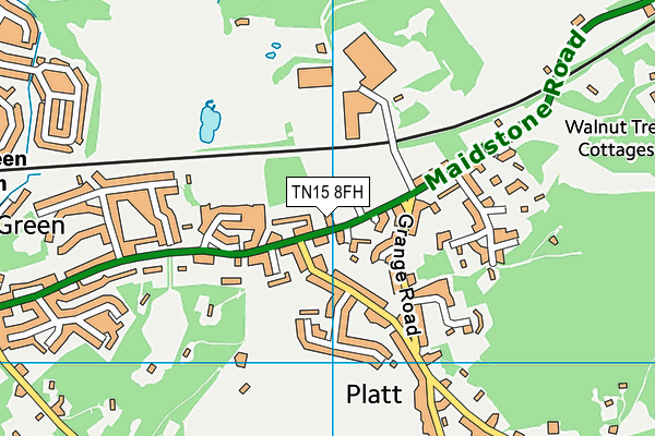 Platt Church of England Voluntary Aided Primary School map (TN15 8FH) - OS VectorMap District (Ordnance Survey)