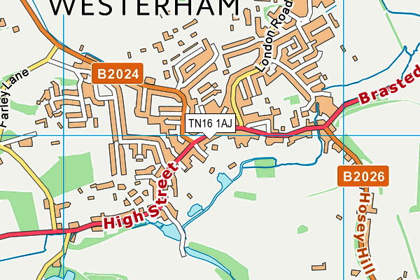TN16 1AJ map - OS VectorMap District (Ordnance Survey)